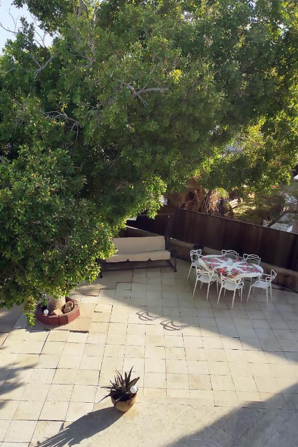 Guest House "Villa Klara Eilat" Heated Pool And Sauna All Year Round Buitenkant foto
